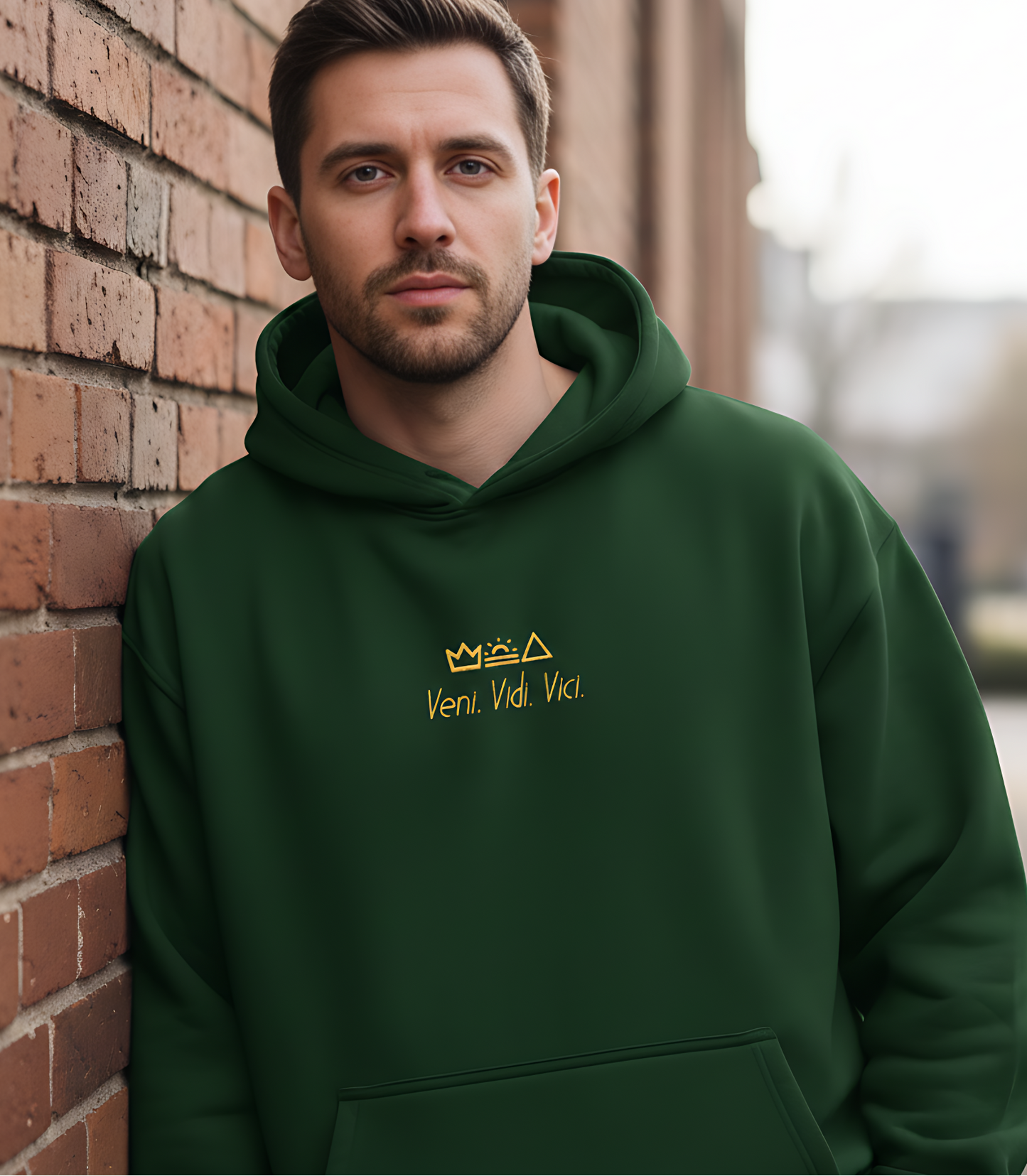 Embroidered Veni Vidi Vici Oversized Hoodie